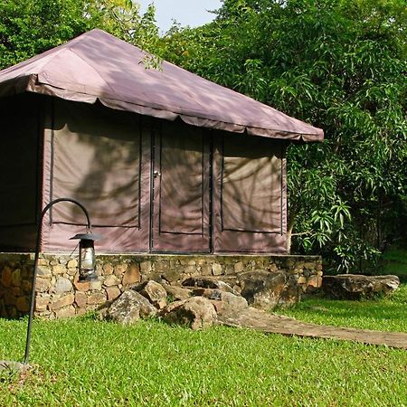 Hotel The Yala Adventure Tissamaharama Esterno foto