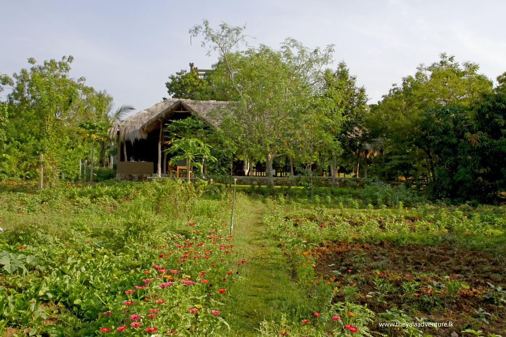 Hotel The Yala Adventure Tissamaharama Esterno foto