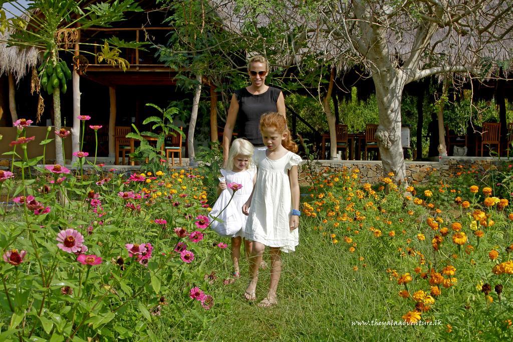 Hotel The Yala Adventure Tissamaharama Esterno foto